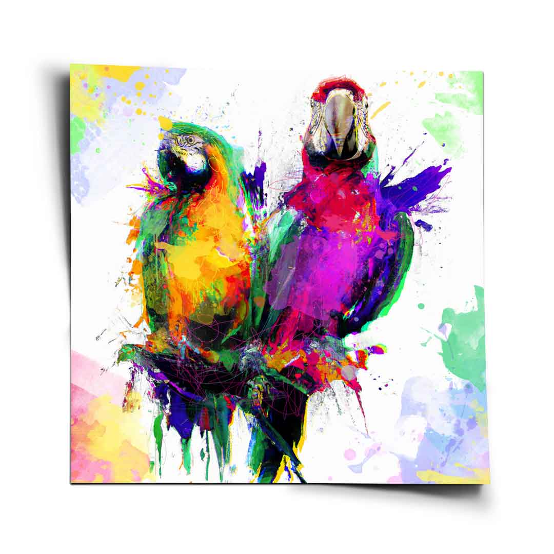Vibrant two-parrot wall art with bold pop art outlines and multicolored paint splashes on white background