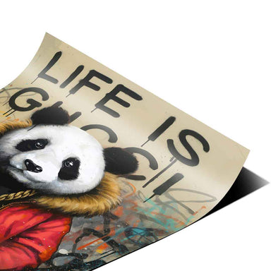 Close-up of panda's direct gaze in bold black-and-white contrast