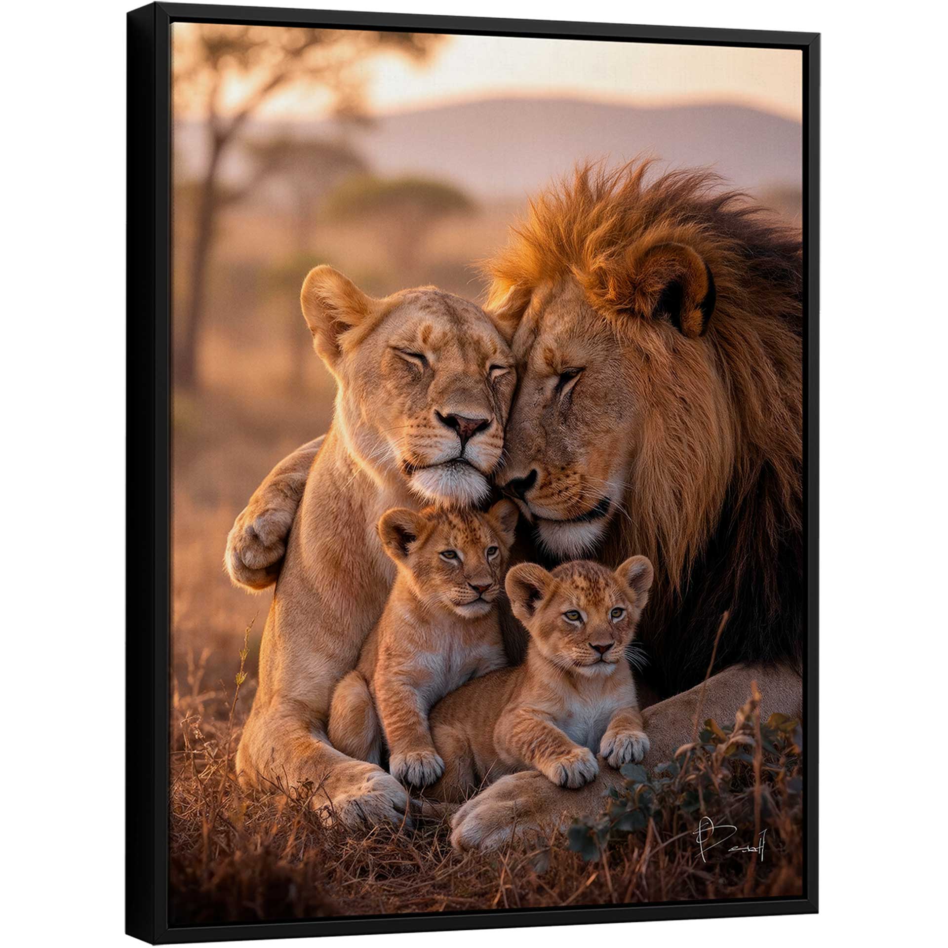 Portrait of a lioness, a lion, and two cubs embracing in warm sunset light
