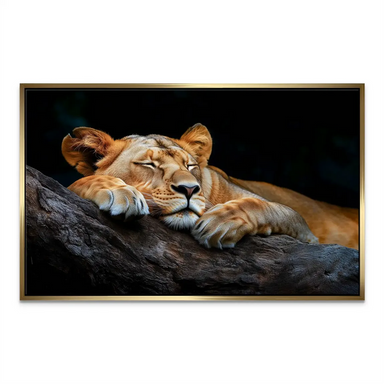 Sleeping Lioness Canvas Art - Animal Wall Art - Image 7