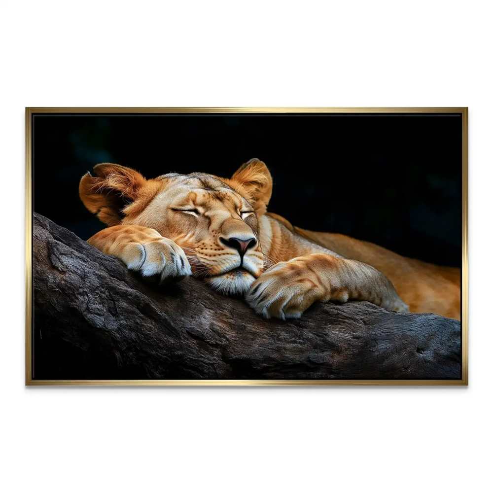 Sleeping Lioness Canvas Art - Animal Wall Art - Image 7