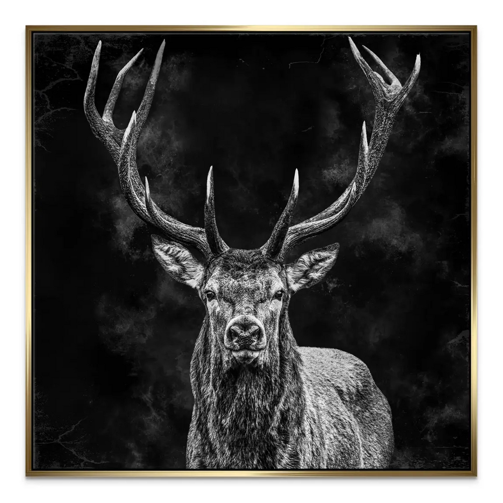 Elegant black and white stag canvas print for living room