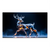 Crystal deer geometric stag on black background with blue floor glow