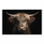 Close-up of a majestic Highland cow with shaggy brown fur and horns against a black background