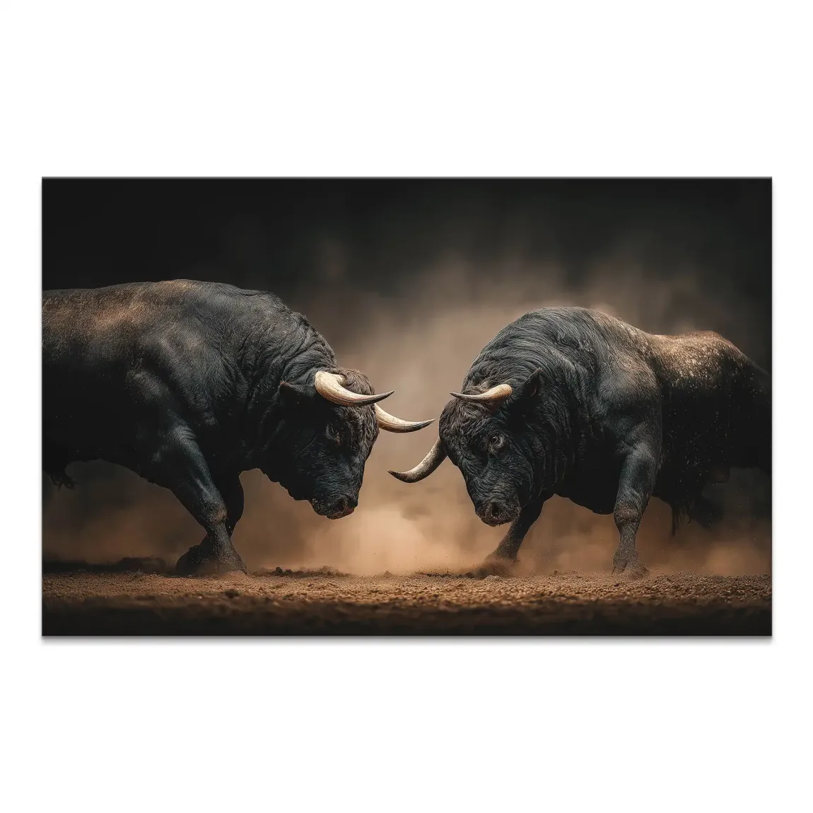 Two black bulls lock horns in a dramatic low-angle confrontation amid dusty ground