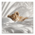 Sleeping lion cub on white bedding on a square canvas