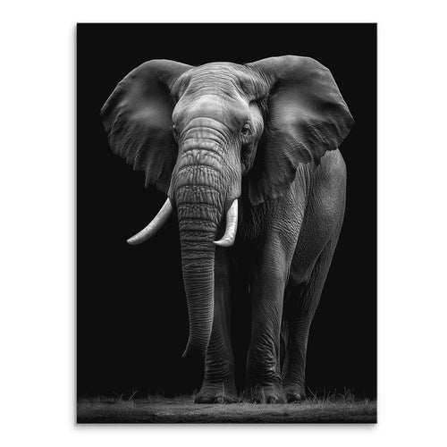 Black elephant canvas picture in black and white with a solid black background