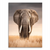 Majestic African elephant walking toward the viewer in a realistic savannah scene with a dramatic stormy sky and golden grasses.