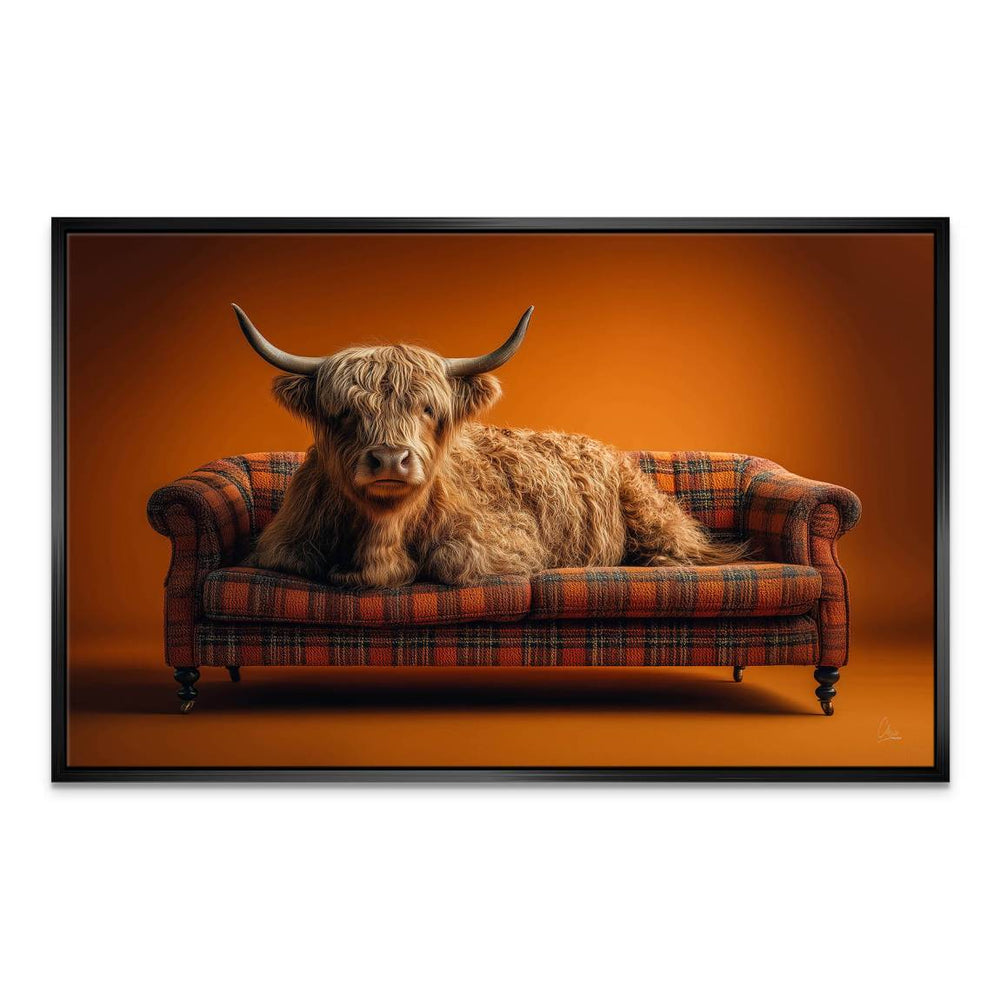 Soft lighting enhances the cozy, eclectic look of the animal portrait.