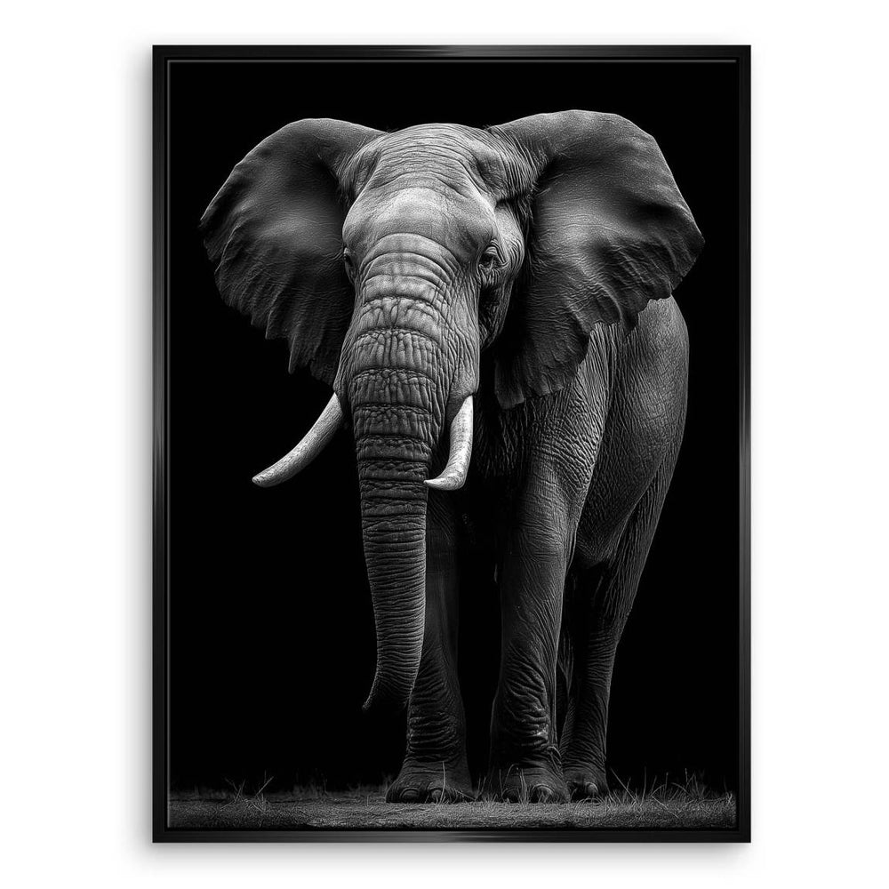 Monochrome elephant wall art detail — solid black background.