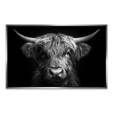 Monochrome animal wall art featuring a Highland cow in classic fine art style