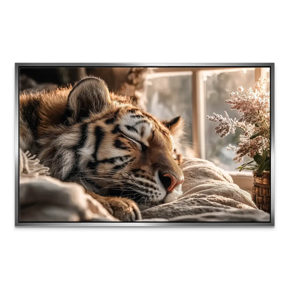 Sleeping tiger in warm home setting near a window with white flowers.