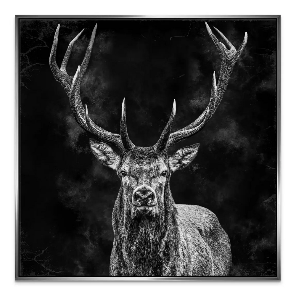 Minimalist black and white animal wall art featuring a stag