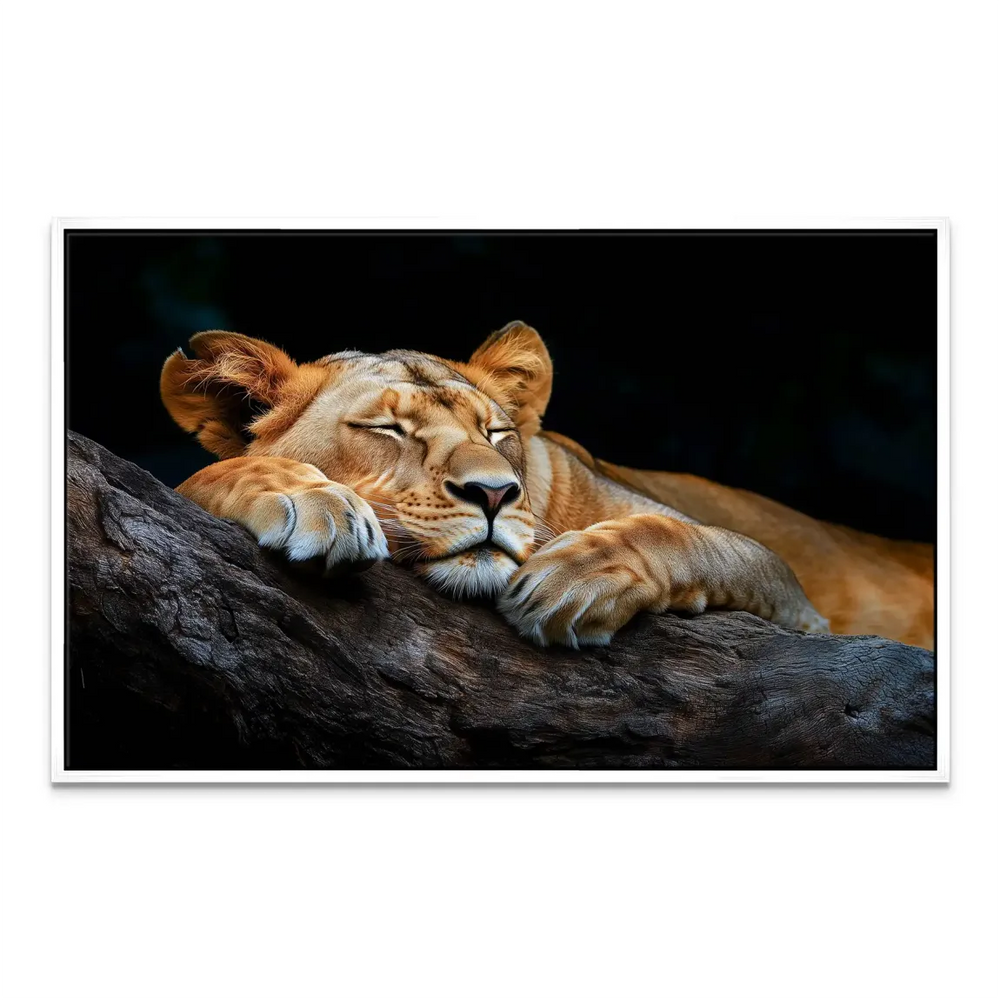 Sleeping Lioness Canvas Art - Animal Wall Art - Image 6
